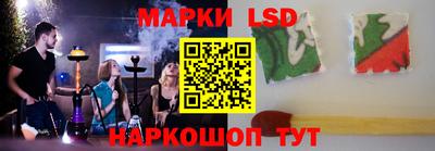 мдпв Кингисепп