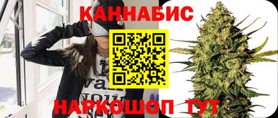 мдпв Кингисепп