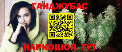 мдпв Кингисепп