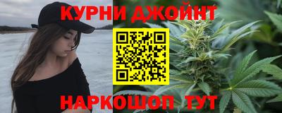 мдпв Кингисепп