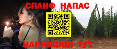 мдпв Кингисепп