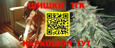 мдпв Кингисепп