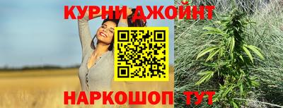 мдпв Кингисепп