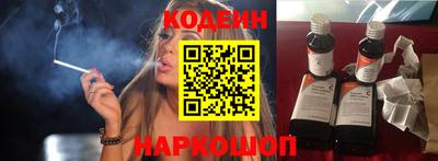 мдпв Кингисепп